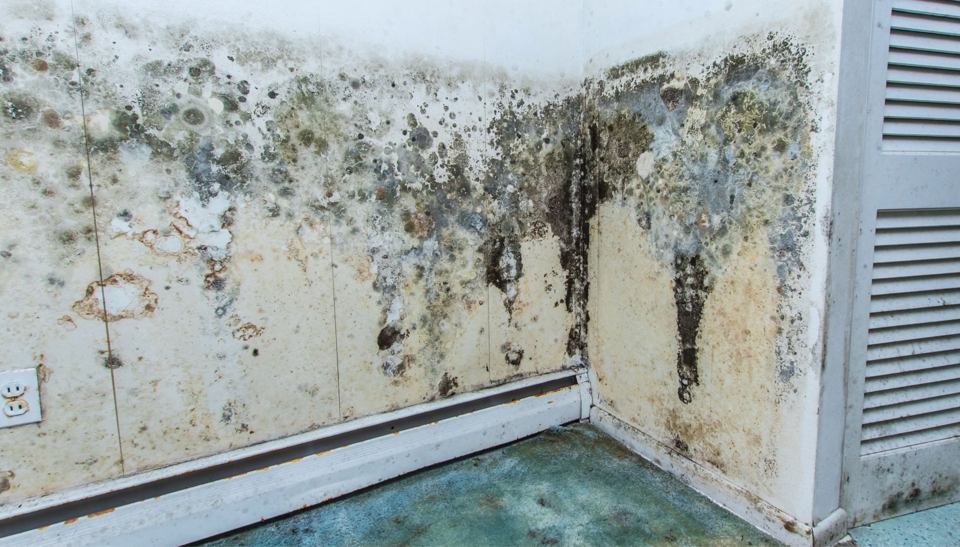 Professional mold removal, odor control, and water damage restoration service in Brooklyn, New York.