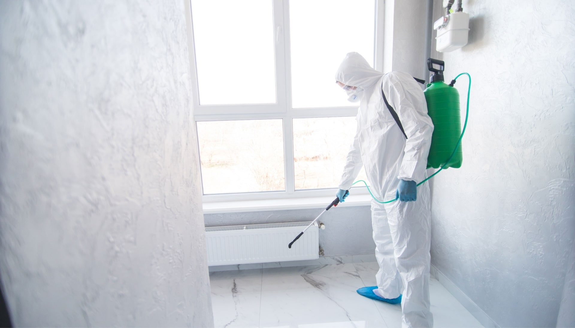We provide the highest-quality mold inspection, testing, and removal services in the Brooklyn, New York area.